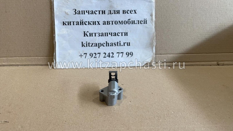 Натяжитель цепи ГРМ Tank 300 1021600XEC01